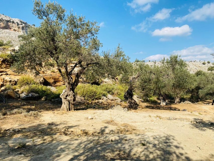 Rhodes: Guided Hike to 7 springs from Archangelos - The Seven Springs at Epta Piges: what to appreciate when you arrive