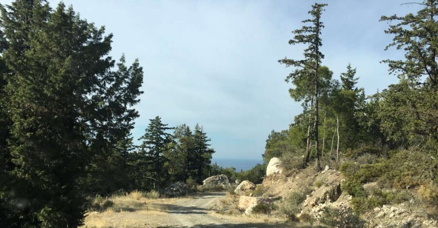 Rhodes South Safari: Mountains & Local Flavors - Why This South Rhodes 4x4 Safari Feels Different