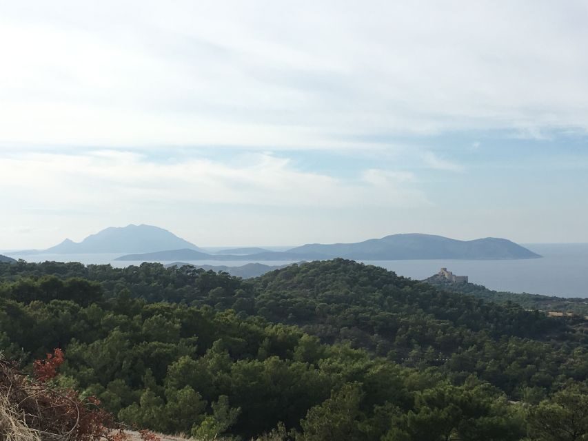 Rhodes South Safari: Mountains & Local Flavors - Pickup That’s Simple, But Have Your Timing Ready
